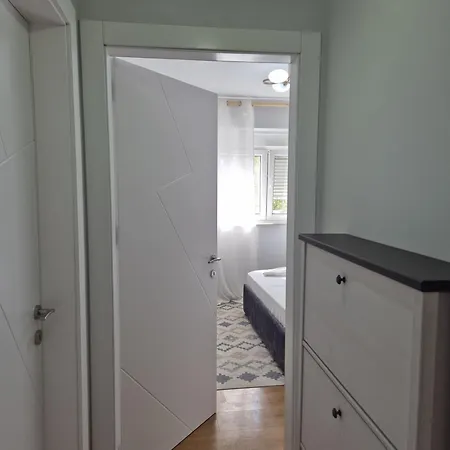 Mosaic Cane 2 Tirana